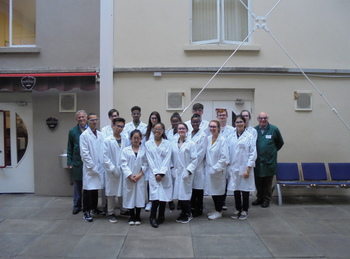 tapgroup1
